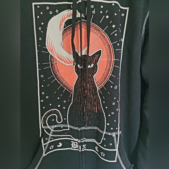 Hocus Pocus Binx Disney Halloween Hoodie - Picture 2 of 6